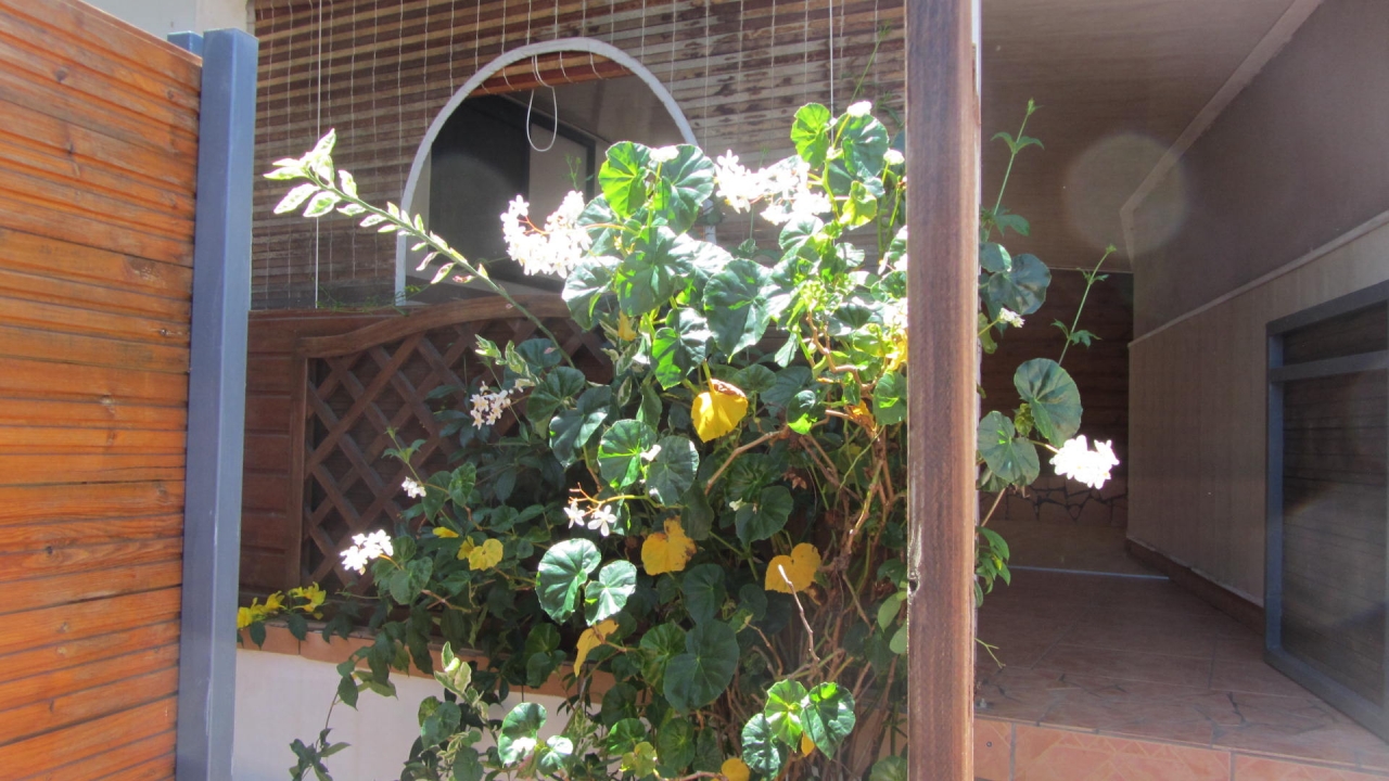 photo en chargement...